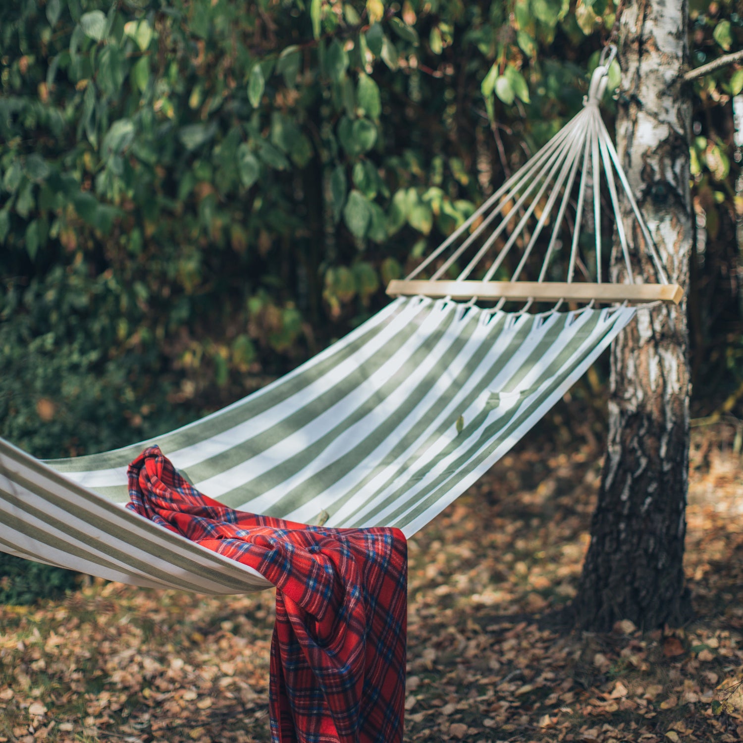 Hammock